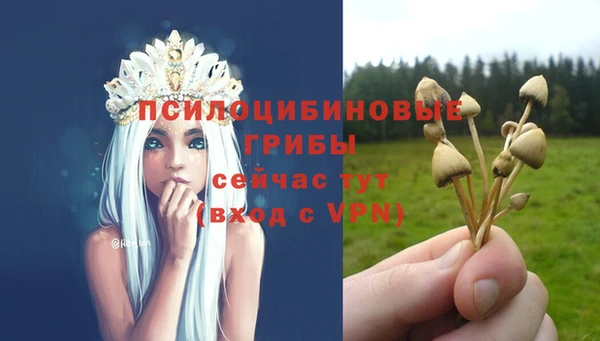 соль ск Зеленокумск