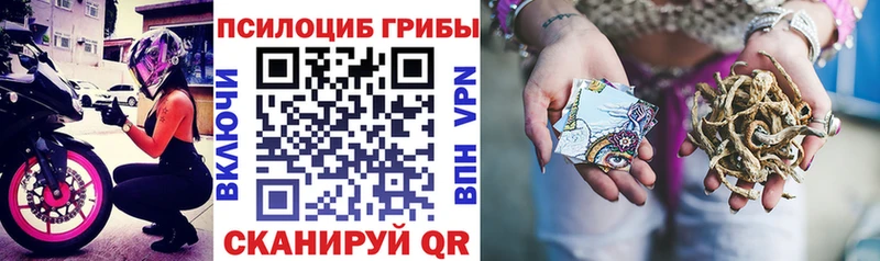 Псилоцибиновые грибы прущие грибы  Купить закладки  Болохово 
